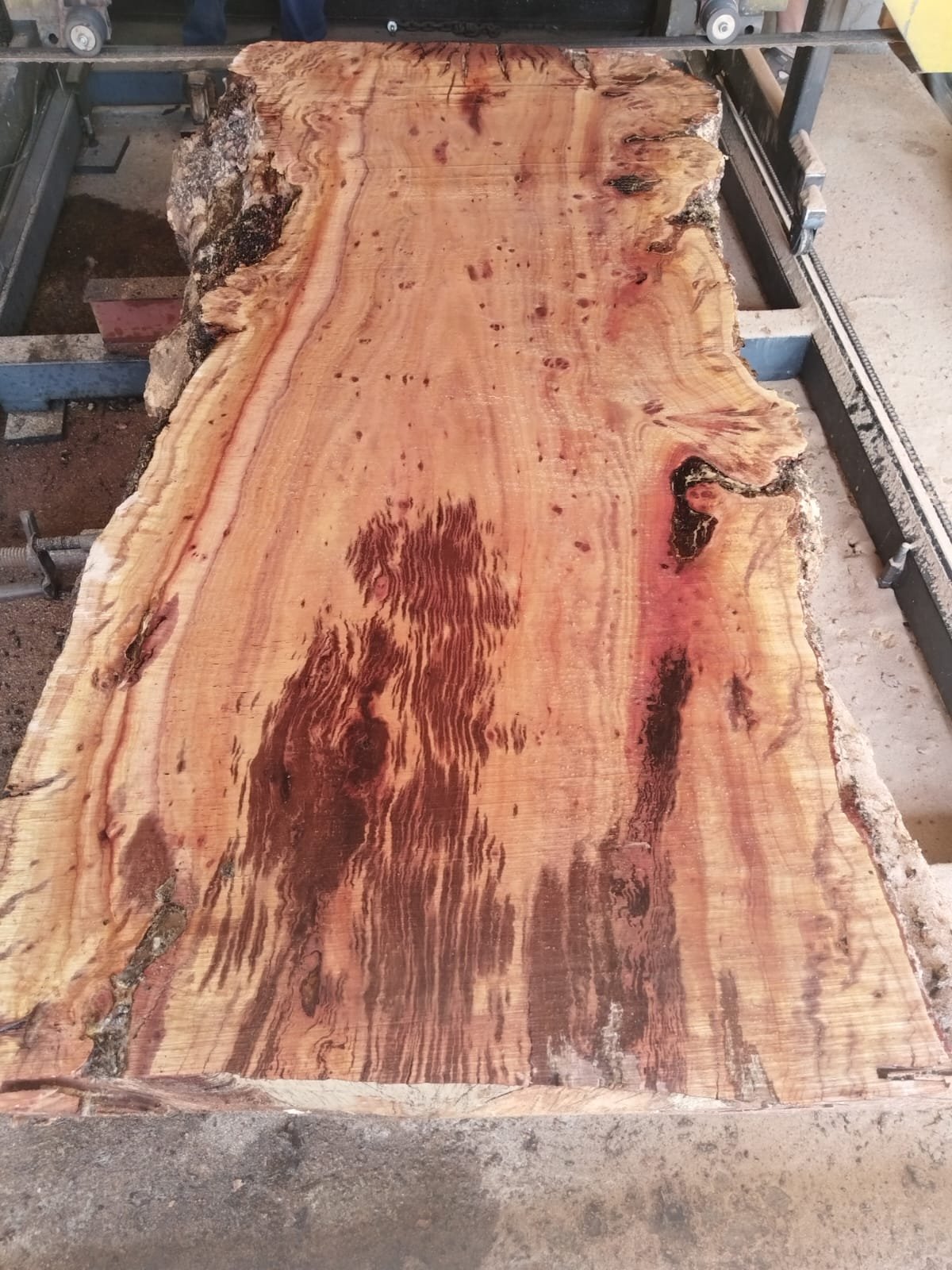 De Jager Wood Designs saw mill Benoni — hardwood slabs being processed on the East Rand