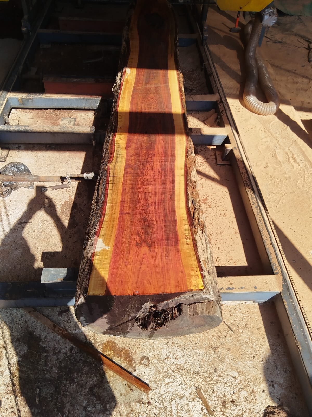 De Jager Wood Designs saw mill Benoni — fresh-cut hardwood slab East Rand