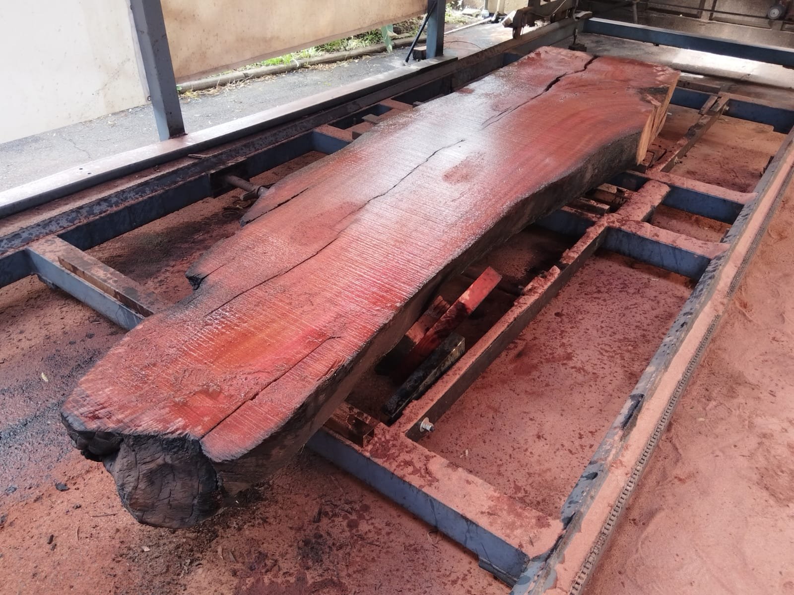 South African hardwood slabs for sale — Kiaat and Saligna Benoni