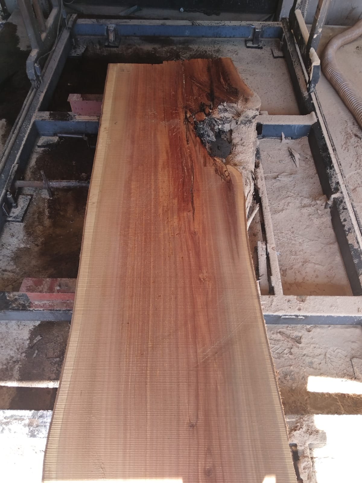 Saw mill milling service East Rand — custom cut timber planks